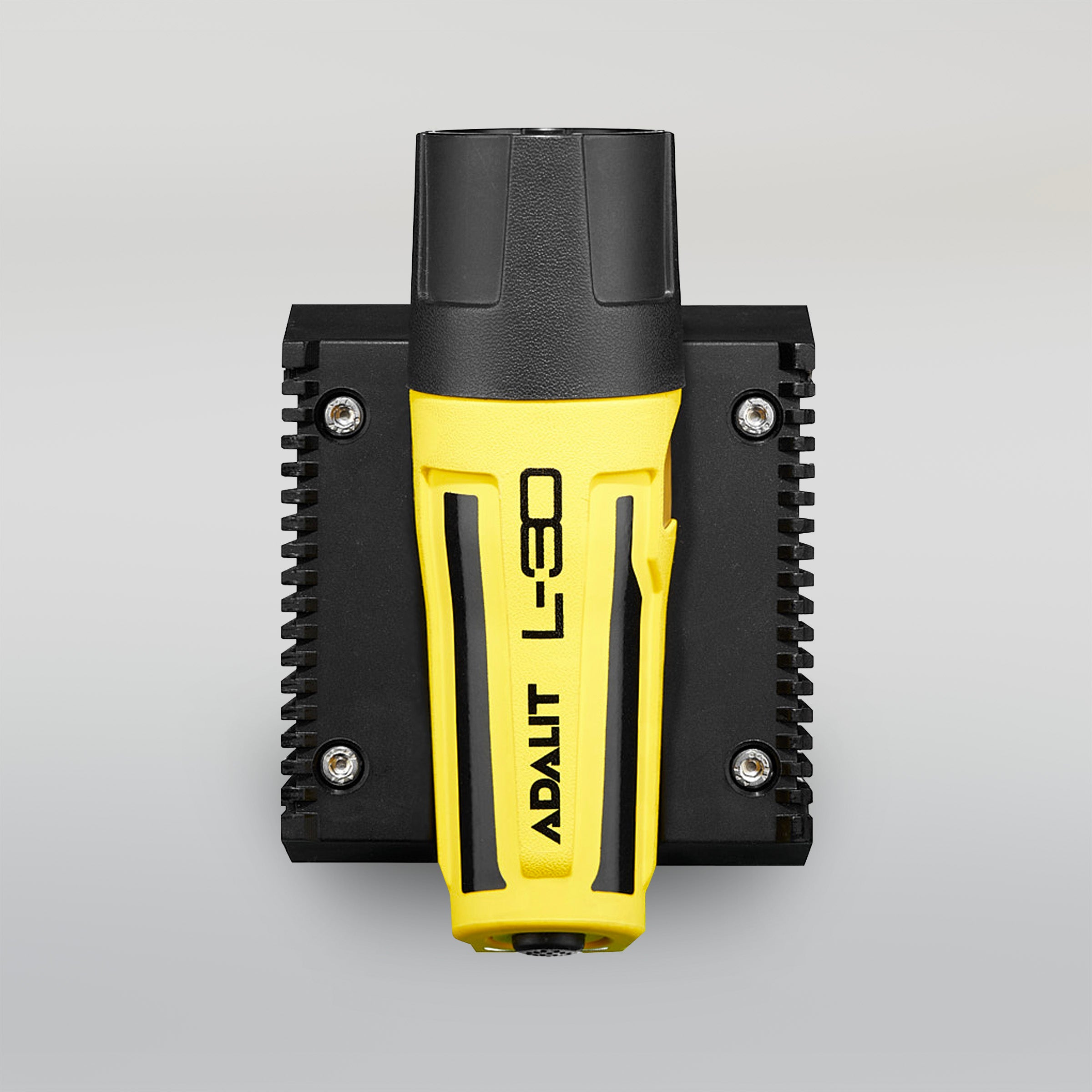 PACK L30 + FAST CHARGER