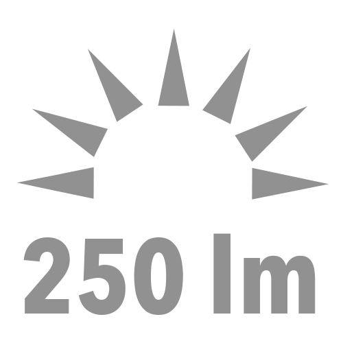 Gray icon with geometric design and '250 lm' text on a white background